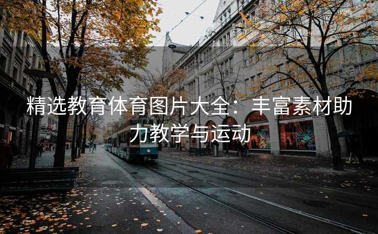 精选教育体育图片大全：丰富素材助力教学与运动